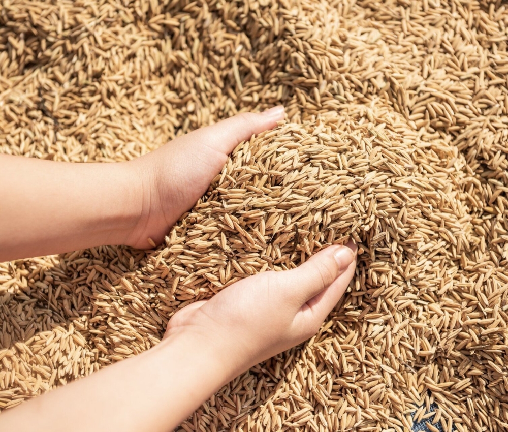 스크린샷 2025-11-03 오후 6.36.05